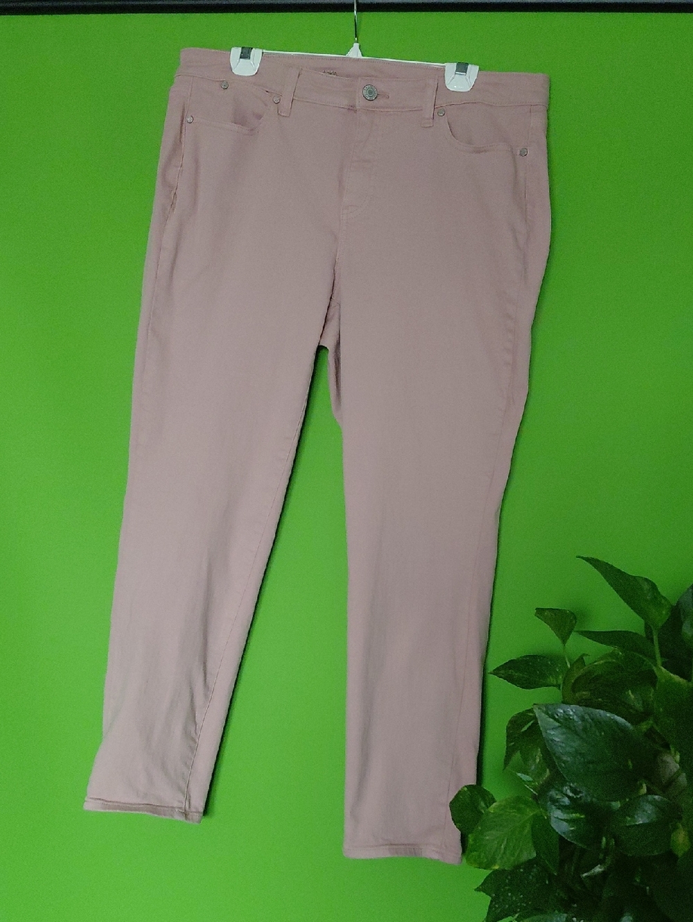 Talbots Pale Mauve Denim Jeans, Sz. 14W